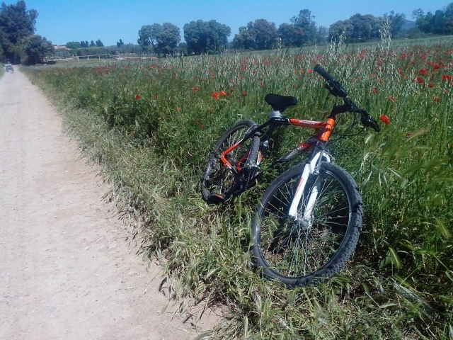  Resting from the route 